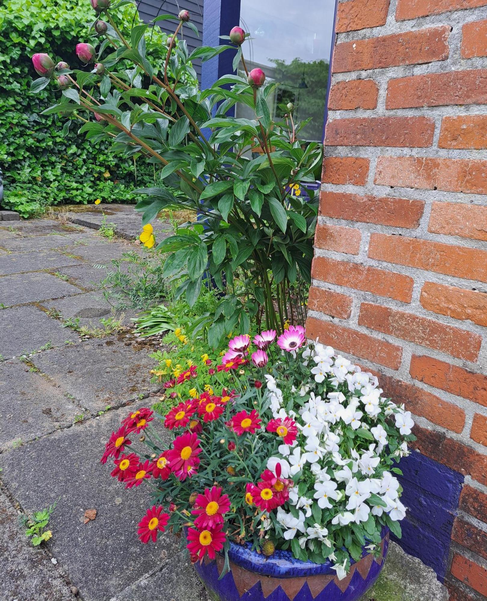 Casa Mundo Bed & Breakfast Vejle Exterior photo